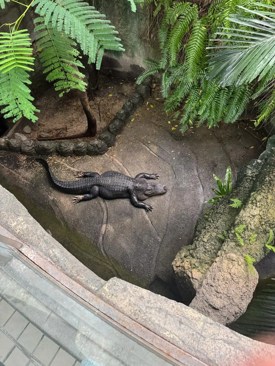 🇯🇵Что делать в Нагое?
Музей Тойоты? Шоппинг? Может, но в следующий раз! Всё меркнет, если я вижу в городе хороший зоопарк! Особенно, если зоопарк соответствует всем требованиям | Сетка — социальная сеть от hh.ru