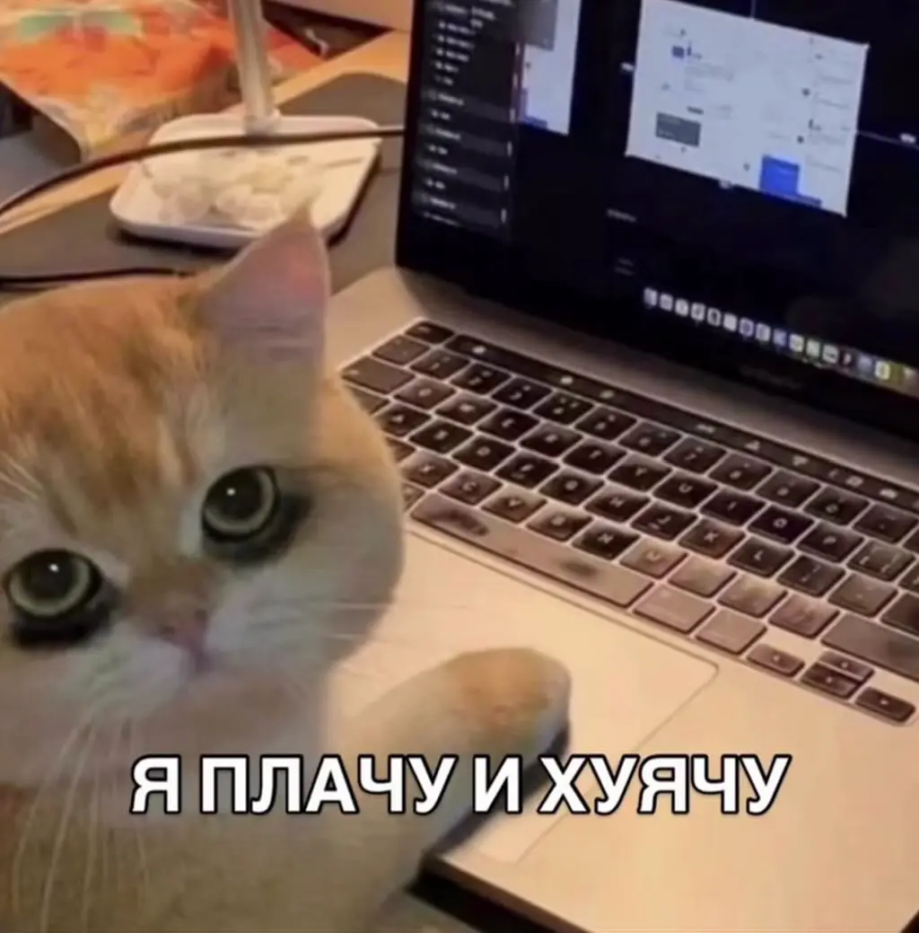 пока как то так🥴 | Сетка — социальная сеть от hh.ru