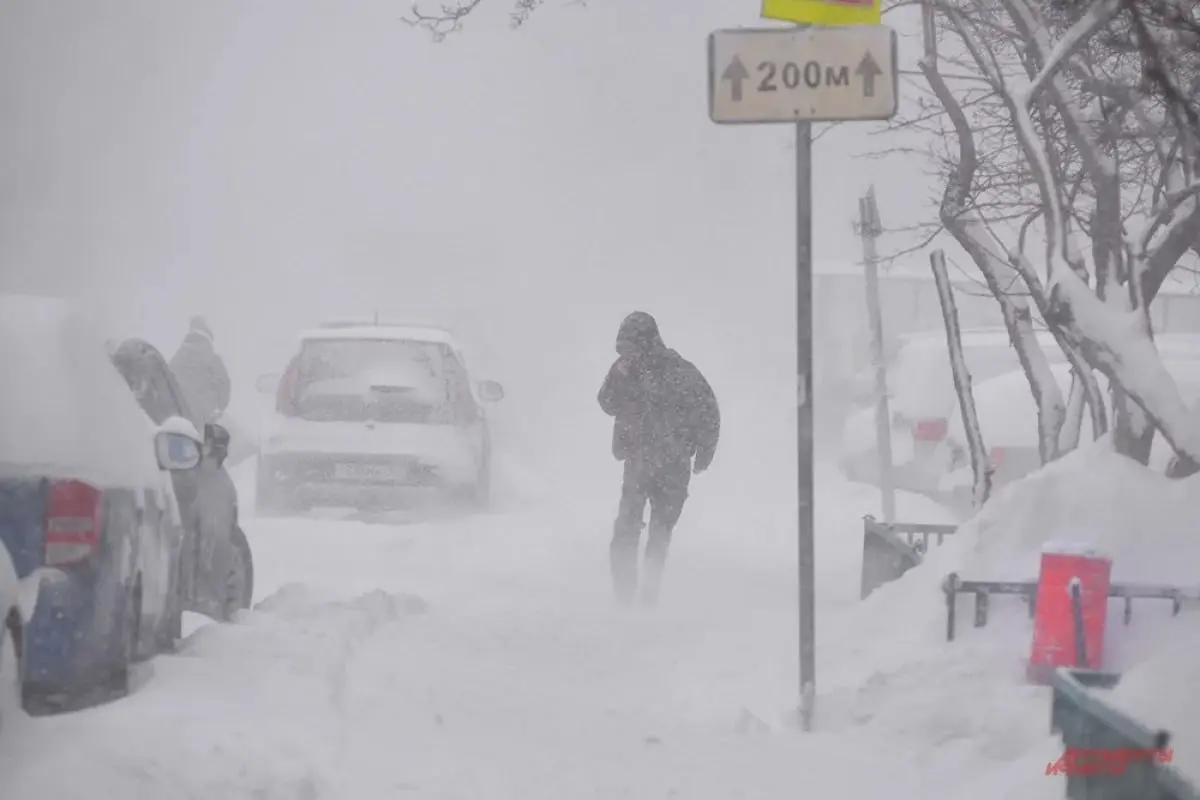 Не могу сегодня под конец не написать таки, что уже 25 февраля, а зима всё ещё с нами! И она, уже кажется, решила остаться насовсем) Сегодня утром на ВДНХ зафиксировали сугробы высотой 73 сантиметра —... | Сетка — социальная сеть от hh.ru