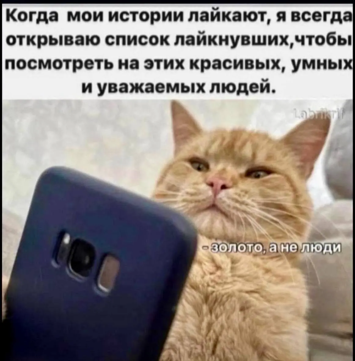 #мем моего дня
Спасибо вам 🧡 | Сетка — социальная сеть от hh.ru