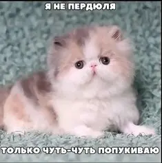 Самопрезентация на собеседовании | Сетка — социальная сеть от hh.ru