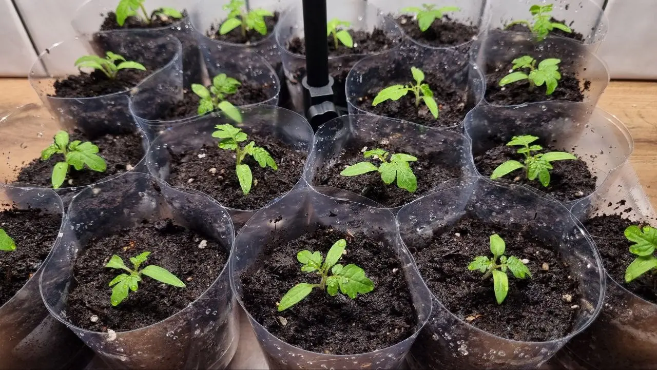 Хатити граматных сатрудникаф? Посорите на свои вакансии 😅 | Сетка — социальная сеть от hh.ru