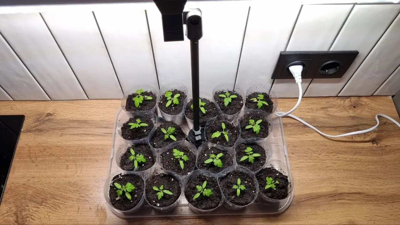 Хатити граматных сатрудникаф? Посорите на свои вакансии 😅 | Сетка — социальная сеть от hh.ru