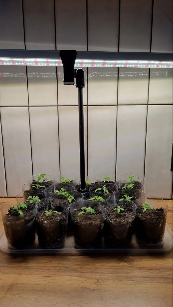 Хатити граматных сатрудникаф? Посорите на свои вакансии 😅 | Сетка — социальная сеть от hh.ru