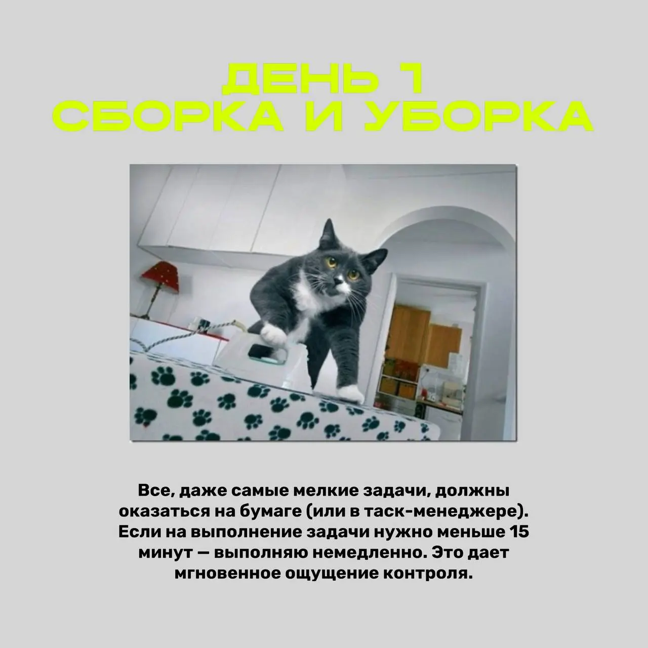 💥 Ударный режим: Как уместить рабочую неделю в 3 дня, чтобы не сойти с ума.
В моей практике ситуация, когда нам нужно “сжать” рабочую неделю до трех дней, возникает регулярно | Сетка — социальная сеть от hh.ru