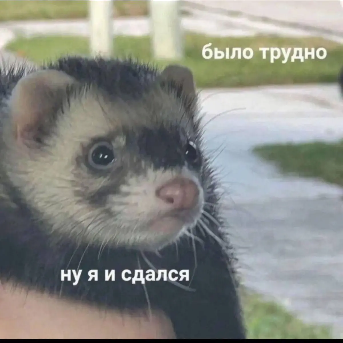 Решила так - если ситуация с отказами и сложностью нахождения иллюстраторской работы остаётся там, где и была в течении следующих пары месяцев, ну его, иду работать куда берут, а там поживём-увидим | Сетка — социальная сеть от hh.ru