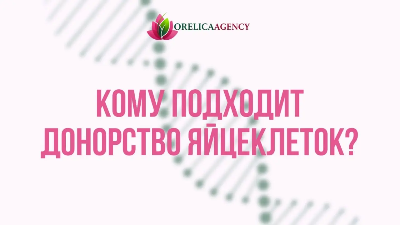Кому подходит донорство яйцеклеток? | Сетка — социальная сеть от hh.ru