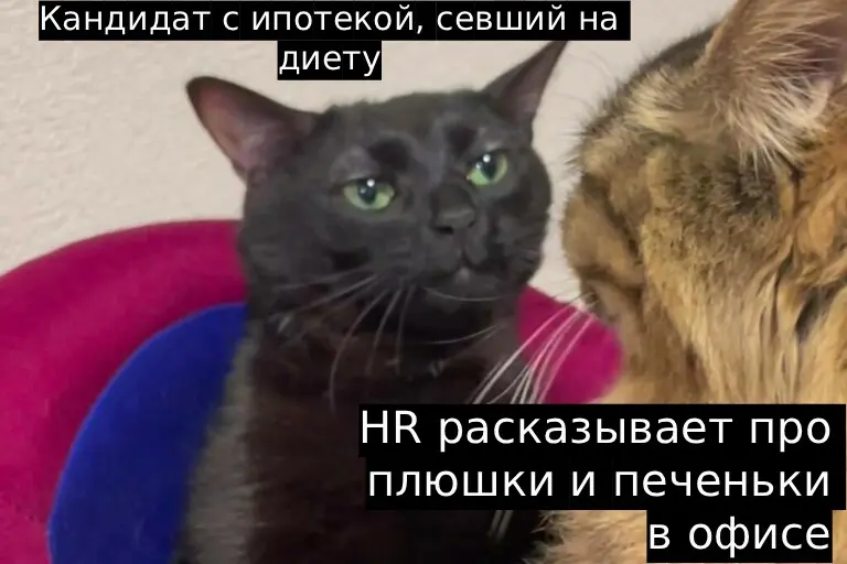 А у вас есть печеньки в офисе ? | Сетка — социальная сеть от hh.ru