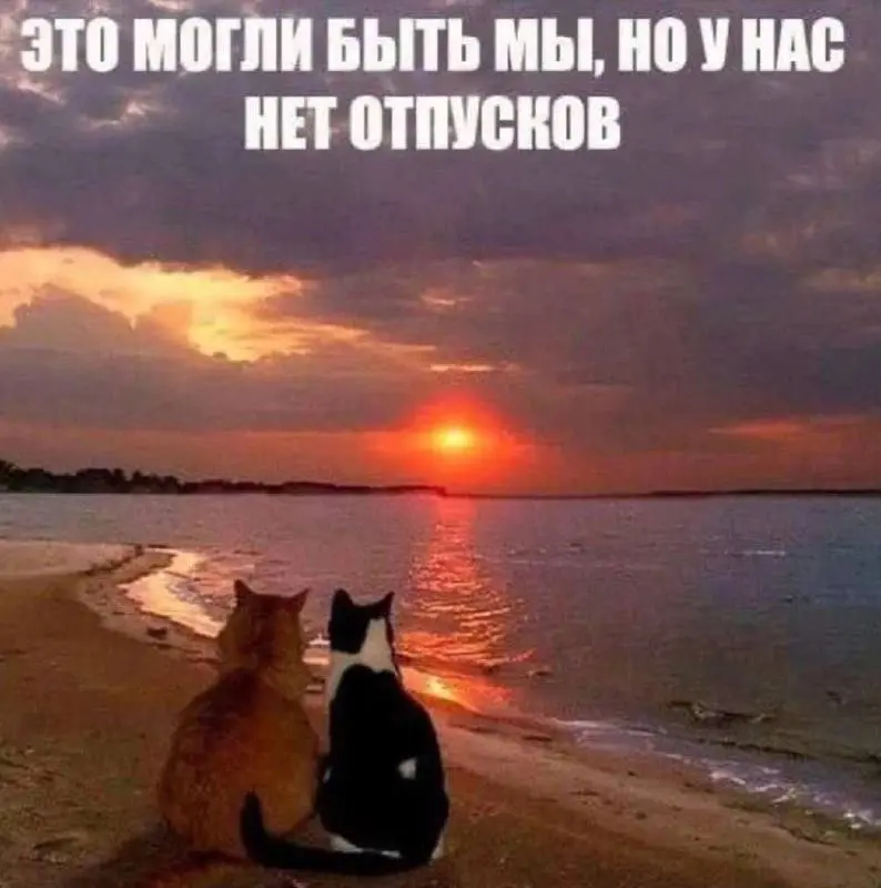 День 178
🔤 читала
🔤 занималась Английским
🔤 занималась с психологом | Сетка — социальная сеть от hh.ru