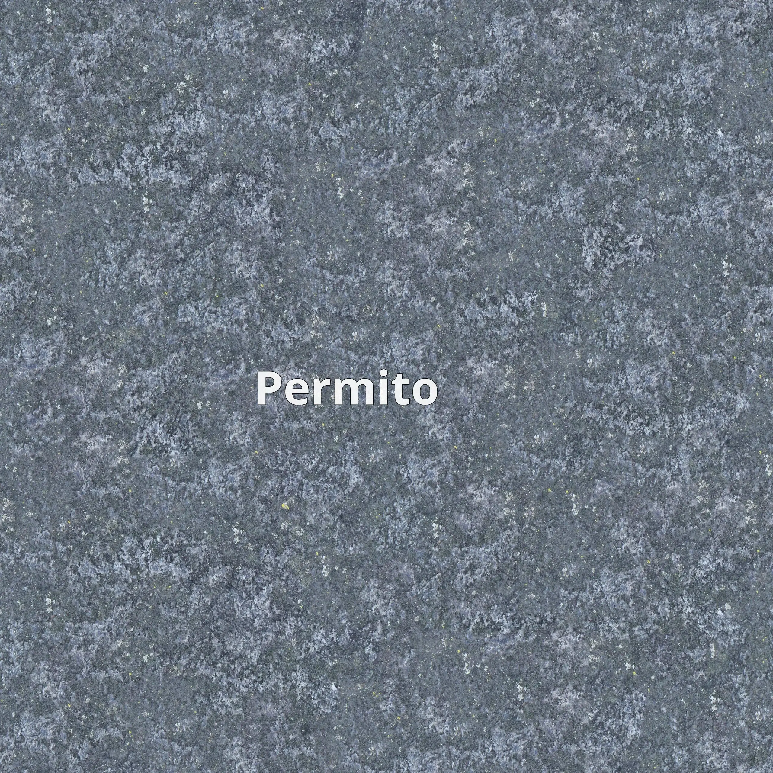 Permito – это AI-платформа для подготовки к собеседованиям на визу в США | Сетка — социальная сеть от hh.ru