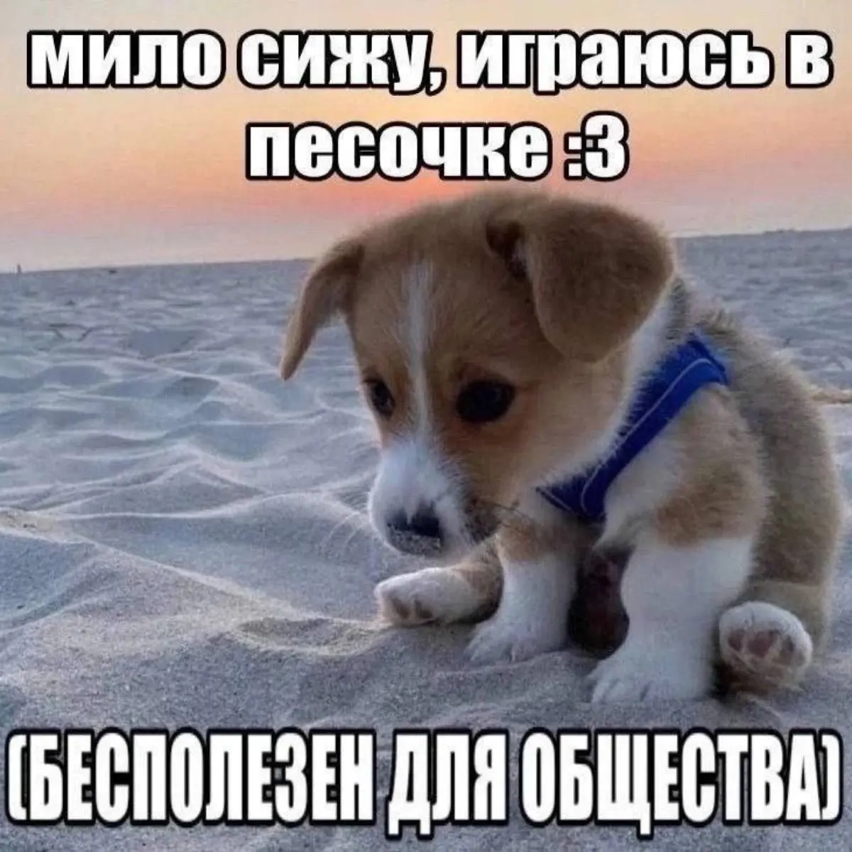 Сергей Слободнюк