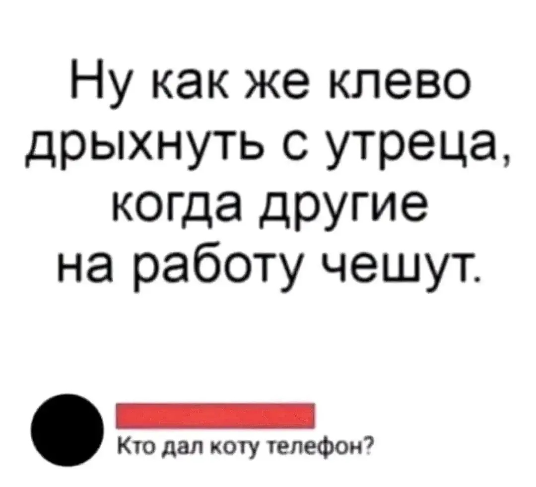 Вот бы быть сейчас дома, с котиком 😂
#Юмор@poldner #Коты@poldner | Сетка — социальная сеть от hh.ru