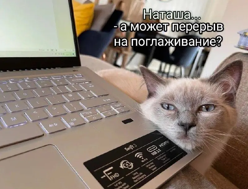 ПРОЩАЙ, ПИЖАМА: нас загоняют обратно в стойло
Знаете, кажется, моей пижаме скоро станет одиноко 😢
К великому сожалению, 2026-й становится годом великого офисного исхода (обратно) | Сетка — социальная сеть от hh.ru