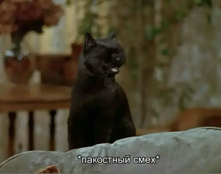 Из «свой в доску» в боссы | Сетка — социальная сеть от hh.ru