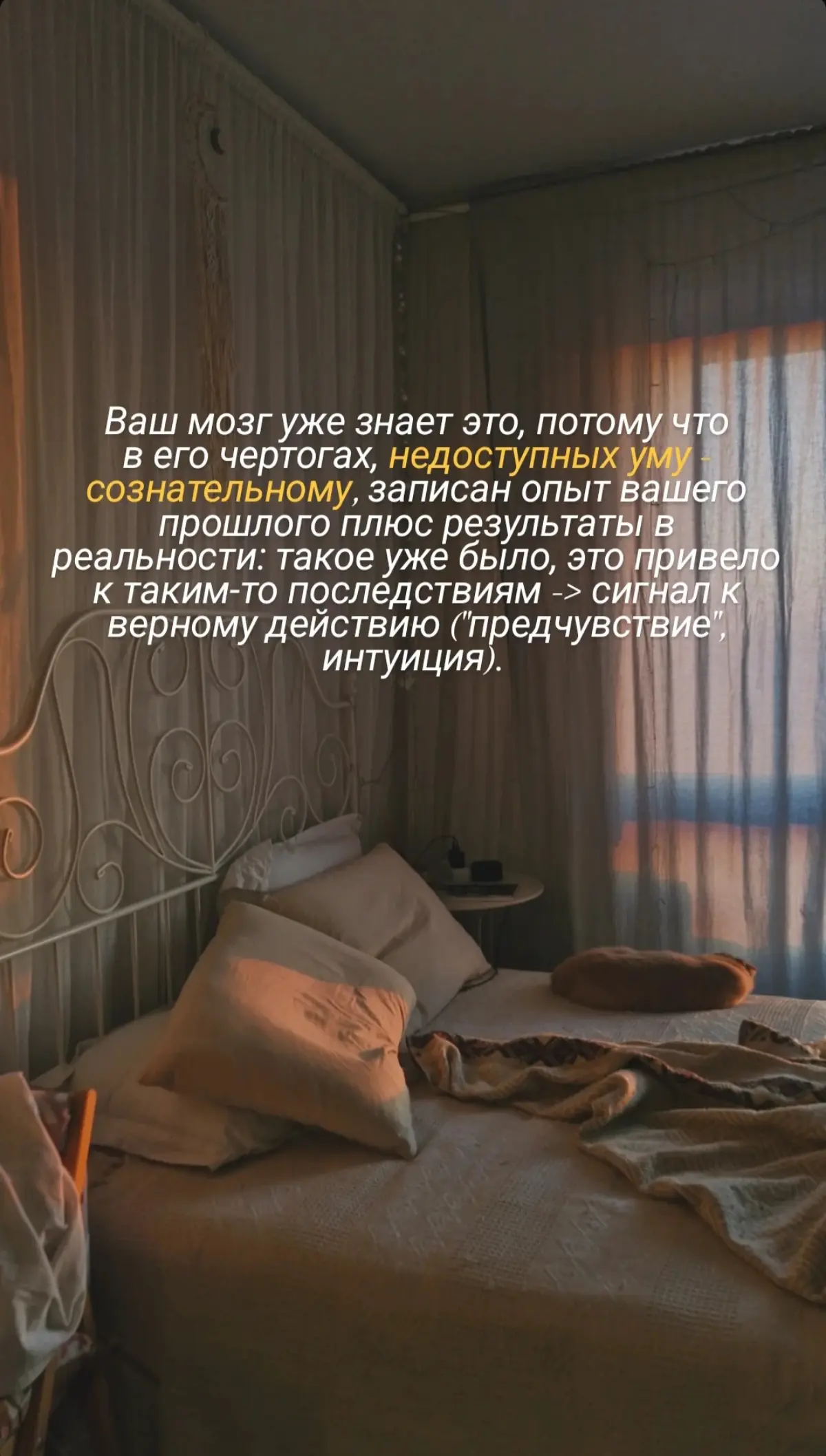 Интуиция и нейропсихология
Верите интуиции?⬇️
#интуиция #мозг #психология | Сетка — социальная сеть от hh.ru