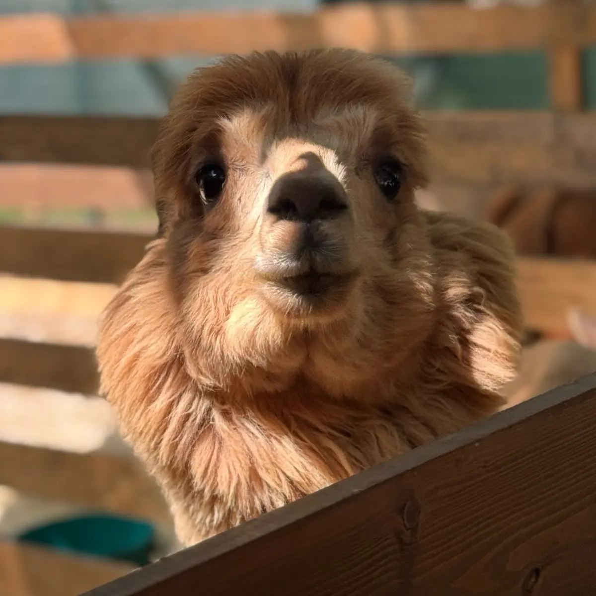 Татьяна Бех | Сетка — социальная сеть от hh.ru