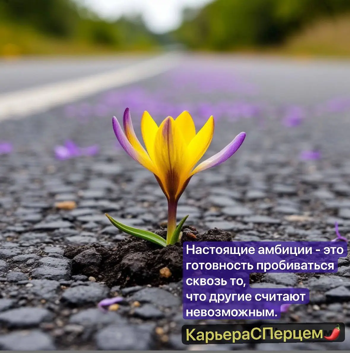 «Хочу в два раза больше» — это не PRO амбиции
Вчера обсуждали со знакомым IT-директором его команду и он поделился личным опытом работы с молодыми специалистами:
«Берёшь новичка без опыта на стартовую... | Сетка — социальная сеть от hh.ru