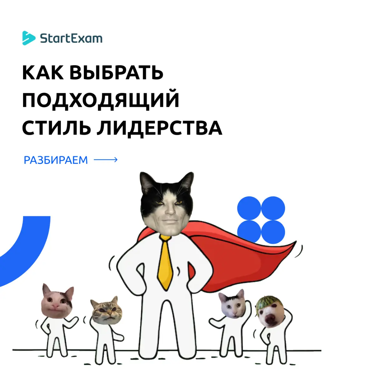 🧐 Загадка: кто сильный лидер? | Сетка — социальная сеть от hh.ru