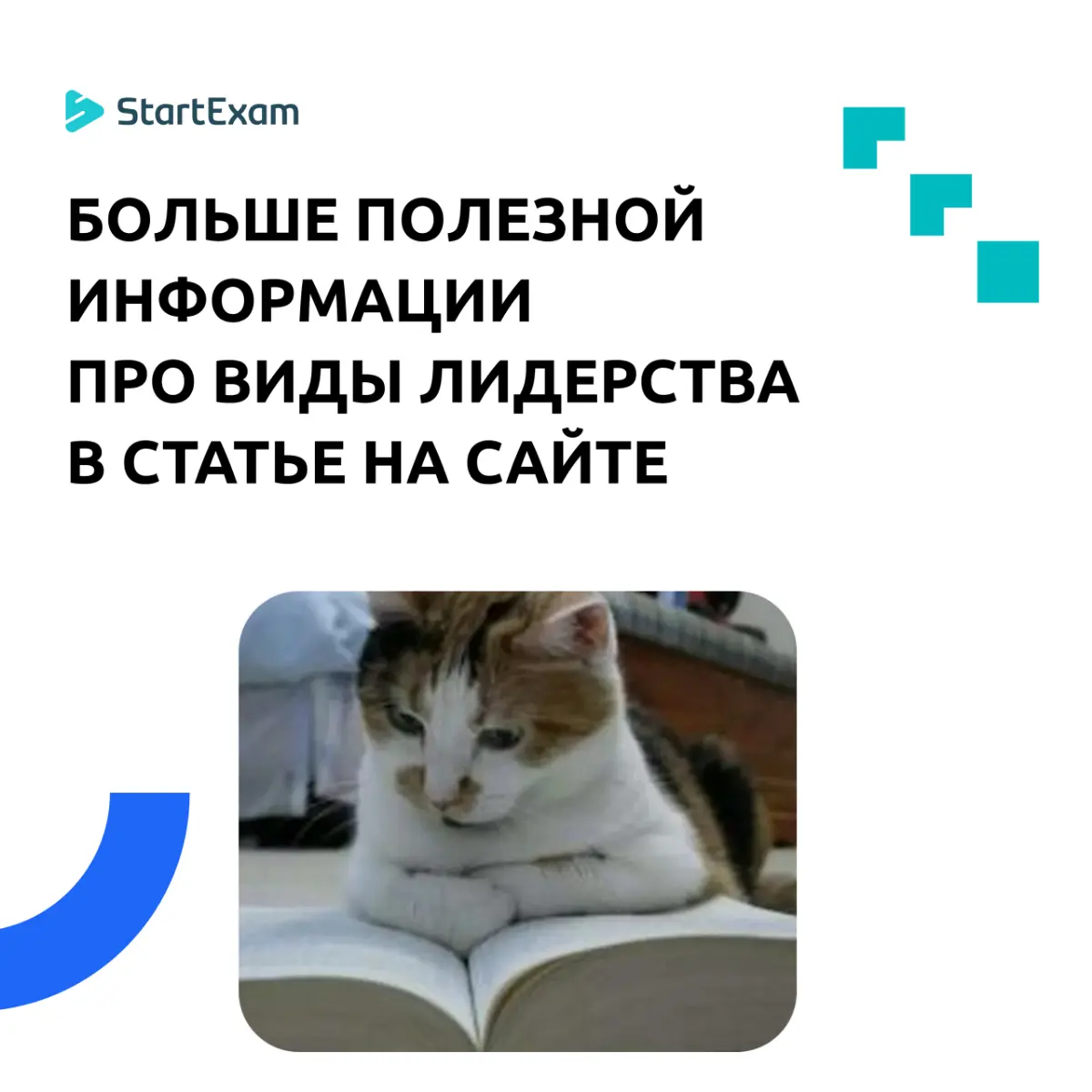 🧐 Загадка: кто сильный лидер? | Сетка — социальная сеть от hh.ru