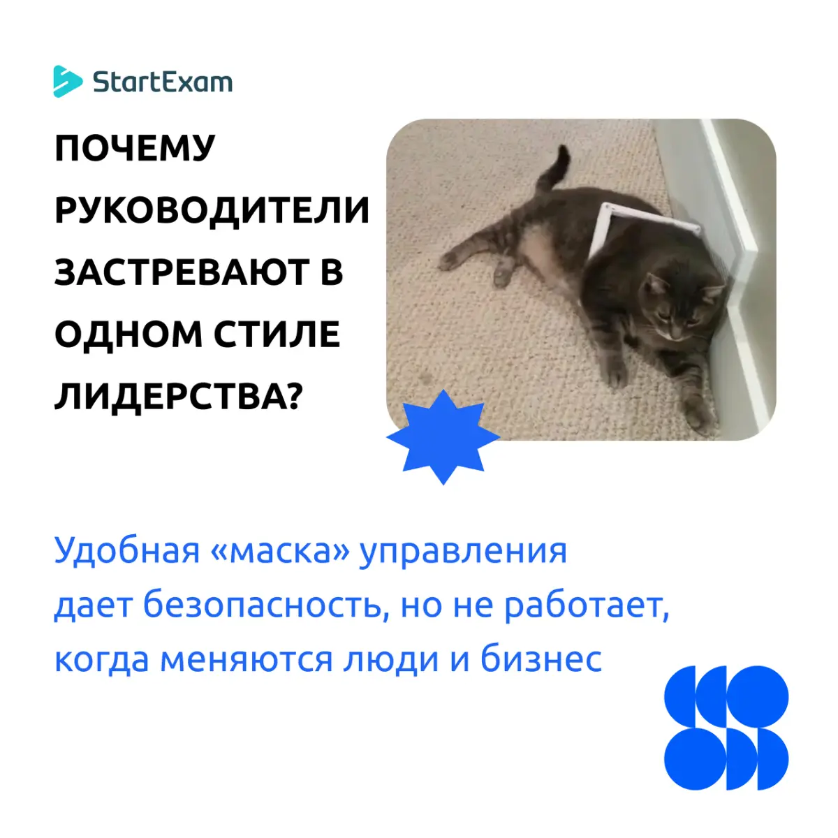 🧐 Загадка: кто сильный лидер? | Сетка — социальная сеть от hh.ru