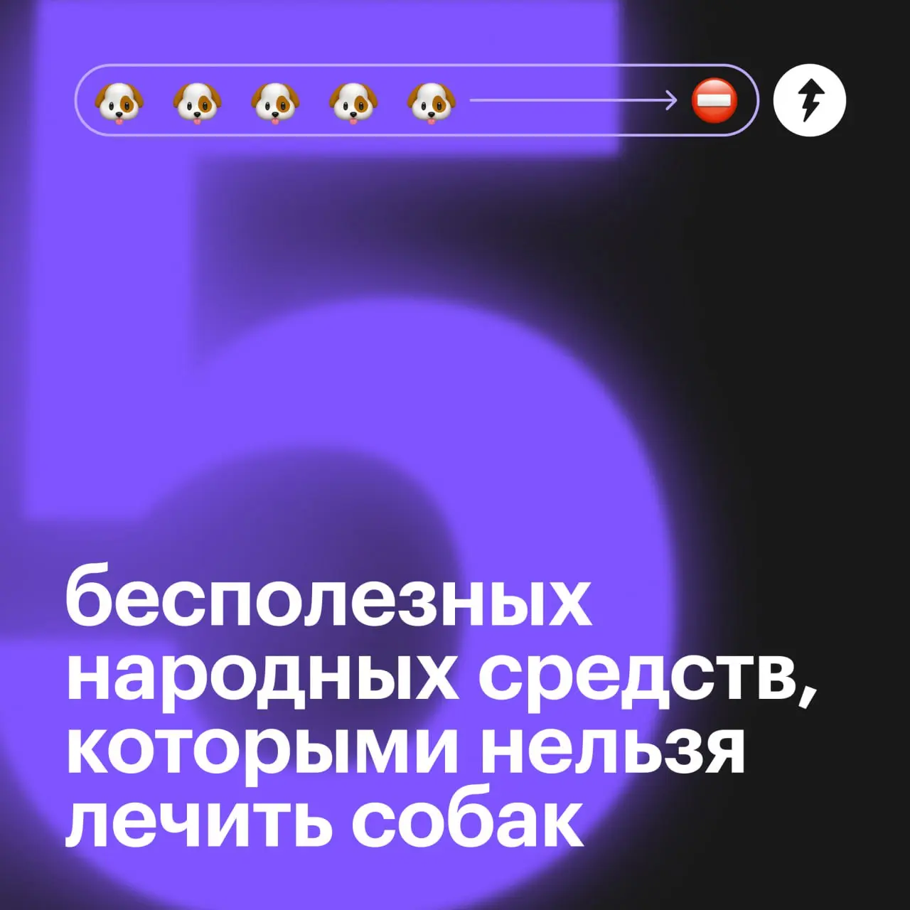🐕: Я ветеринаров, конечно, тоже не очень люблю. Но лучше градусник потерпеть, чем вот это…
⚡️ Как позаботиться о виляющих хвостиками
#собаковедение | Сетка — социальная сеть от hh.ru