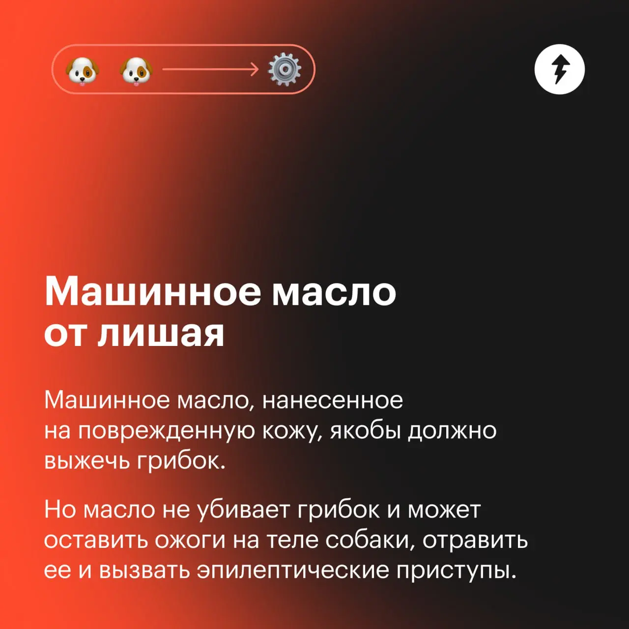 🐕: Я ветеринаров, конечно, тоже не очень люблю. Но лучше градусник потерпеть, чем вот это…
⚡️ Как позаботиться о виляющих хвостиками
#собаковедение | Сетка — социальная сеть от hh.ru