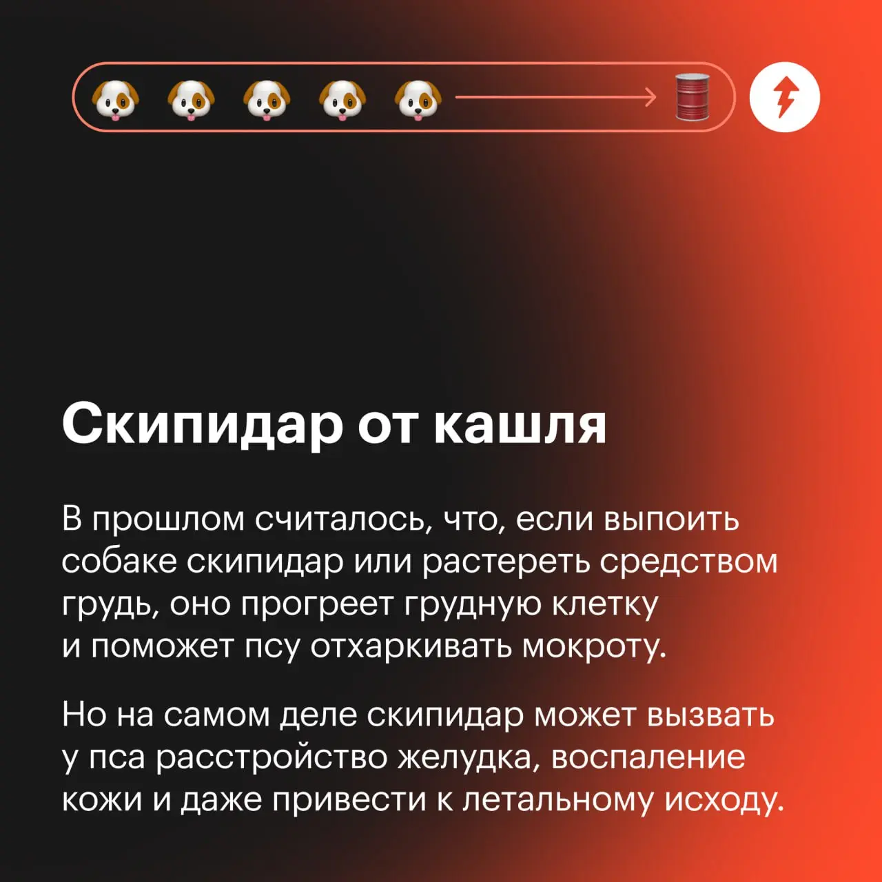 🐕: Я ветеринаров, конечно, тоже не очень люблю. Но лучше градусник потерпеть, чем вот это…
⚡️ Как позаботиться о виляющих хвостиками
#собаковедение | Сетка — социальная сеть от hh.ru