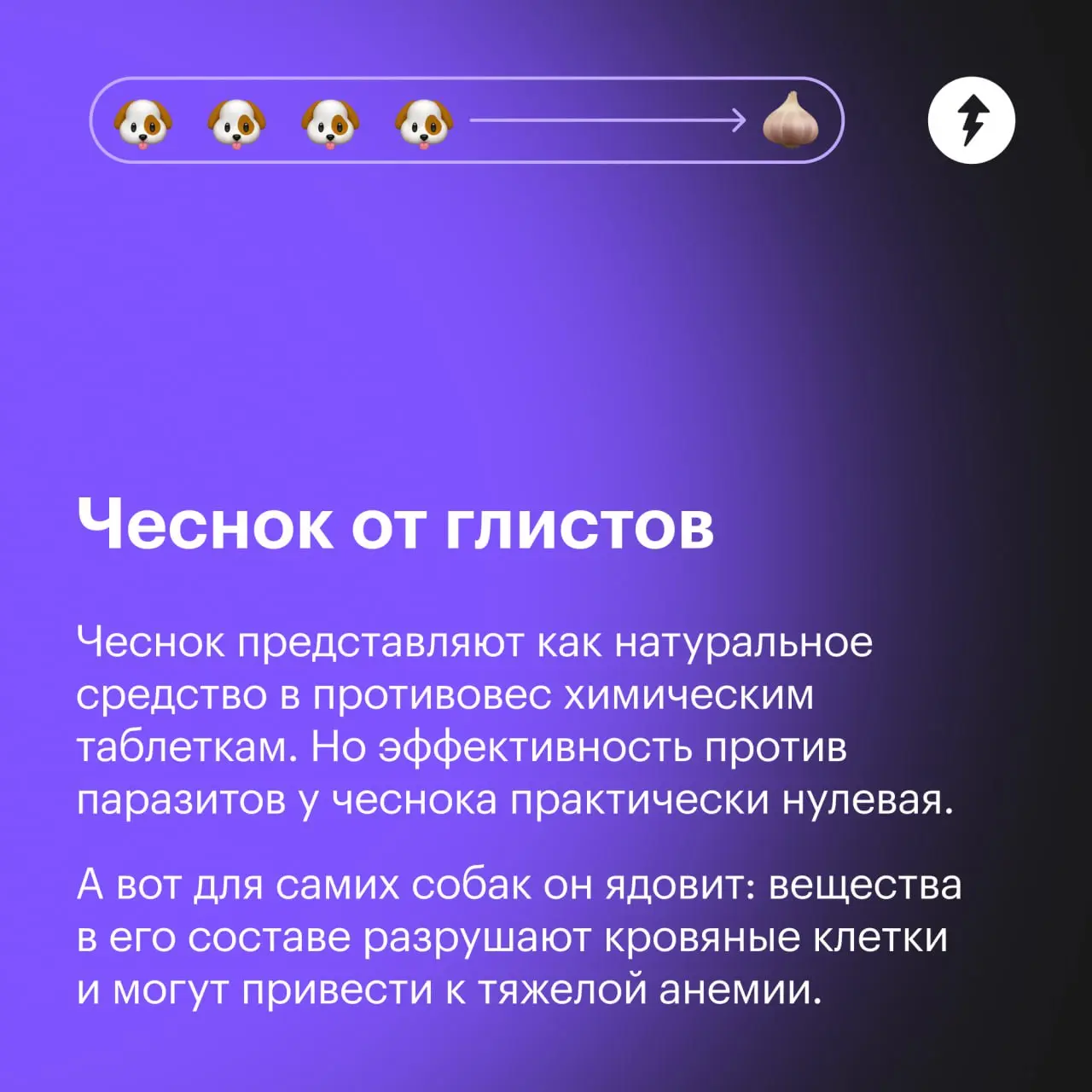 🐕: Я ветеринаров, конечно, тоже не очень люблю. Но лучше градусник потерпеть, чем вот это…
⚡️ Как позаботиться о виляющих хвостиками
#собаковедение | Сетка — социальная сеть от hh.ru
