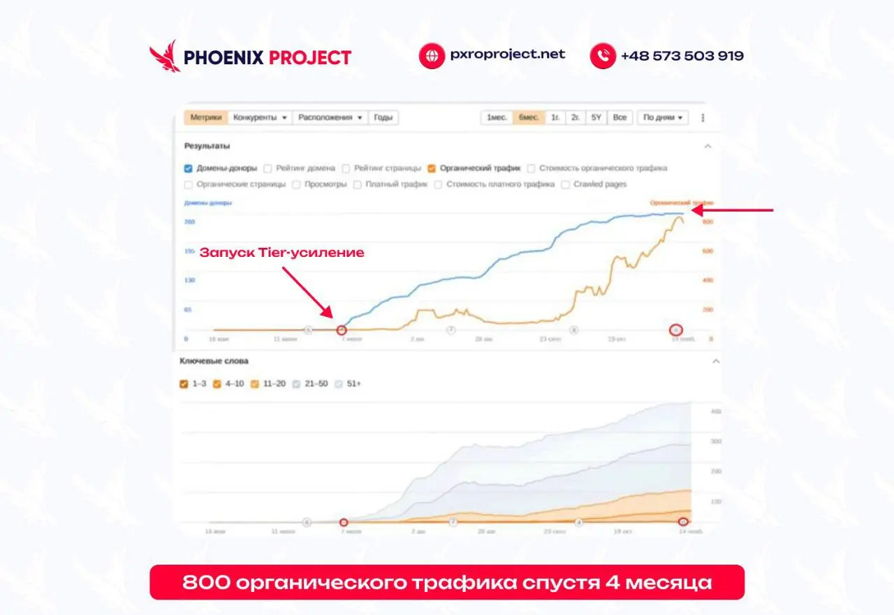Если ссылки есть, а роста нет — проблема чаще всего не в количестве.
В 80% кейсов ссылочная масса просто не усилена | Сетка — социальная сеть от hh.ru