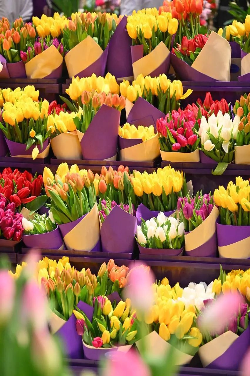 🌷Уже завтра Пассаж украсят тысячи цветов
28 февраля - 9 марта
Тюльпаны, нарциссы, гиацинты, сирень, мимоза и редкие сорта.
📍Петровский Пассаж, ул | Сетка — социальная сеть от hh.ru