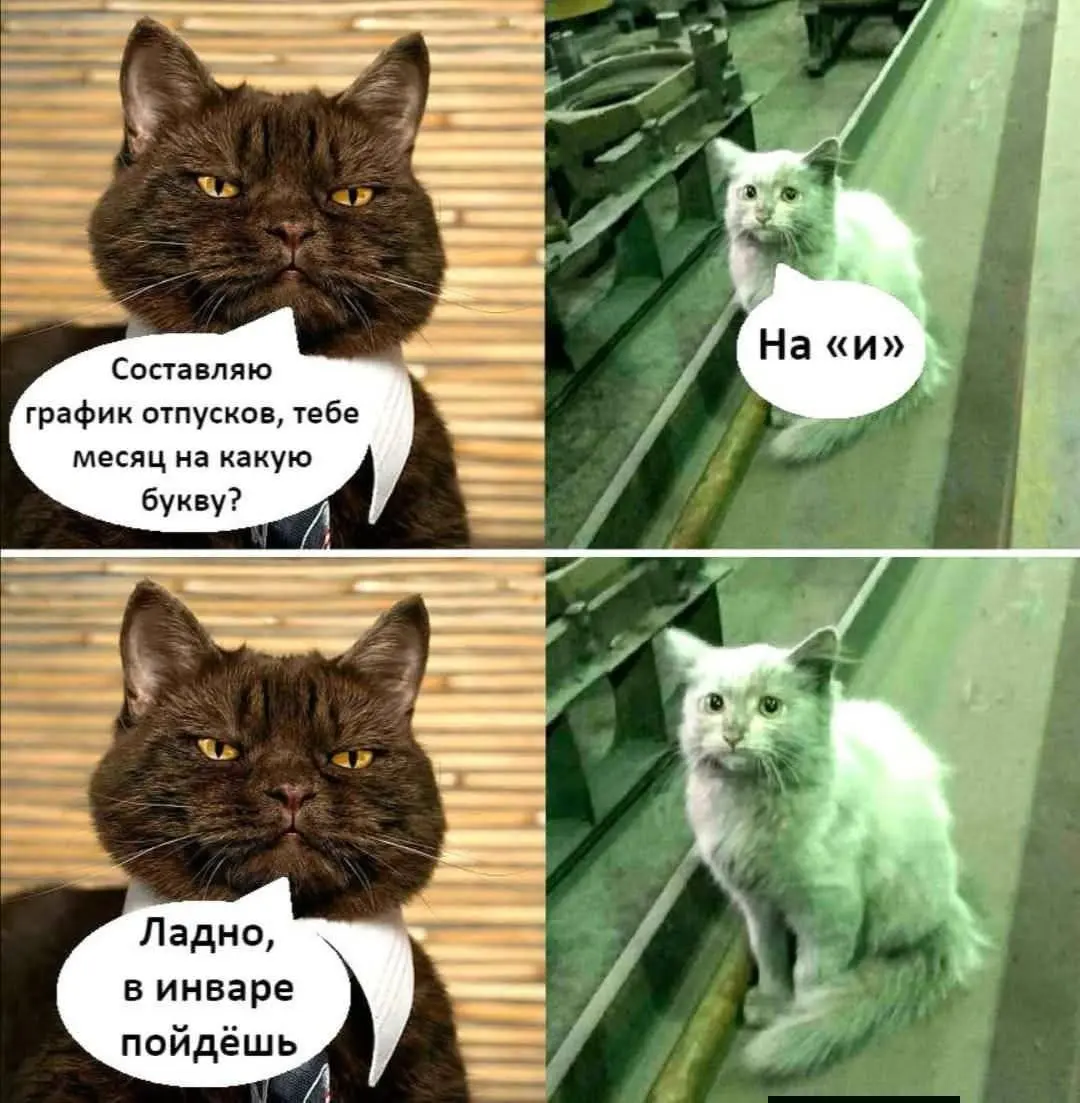 Разбавлю. Пятница же. | Сетка — социальная сеть от hh.ru