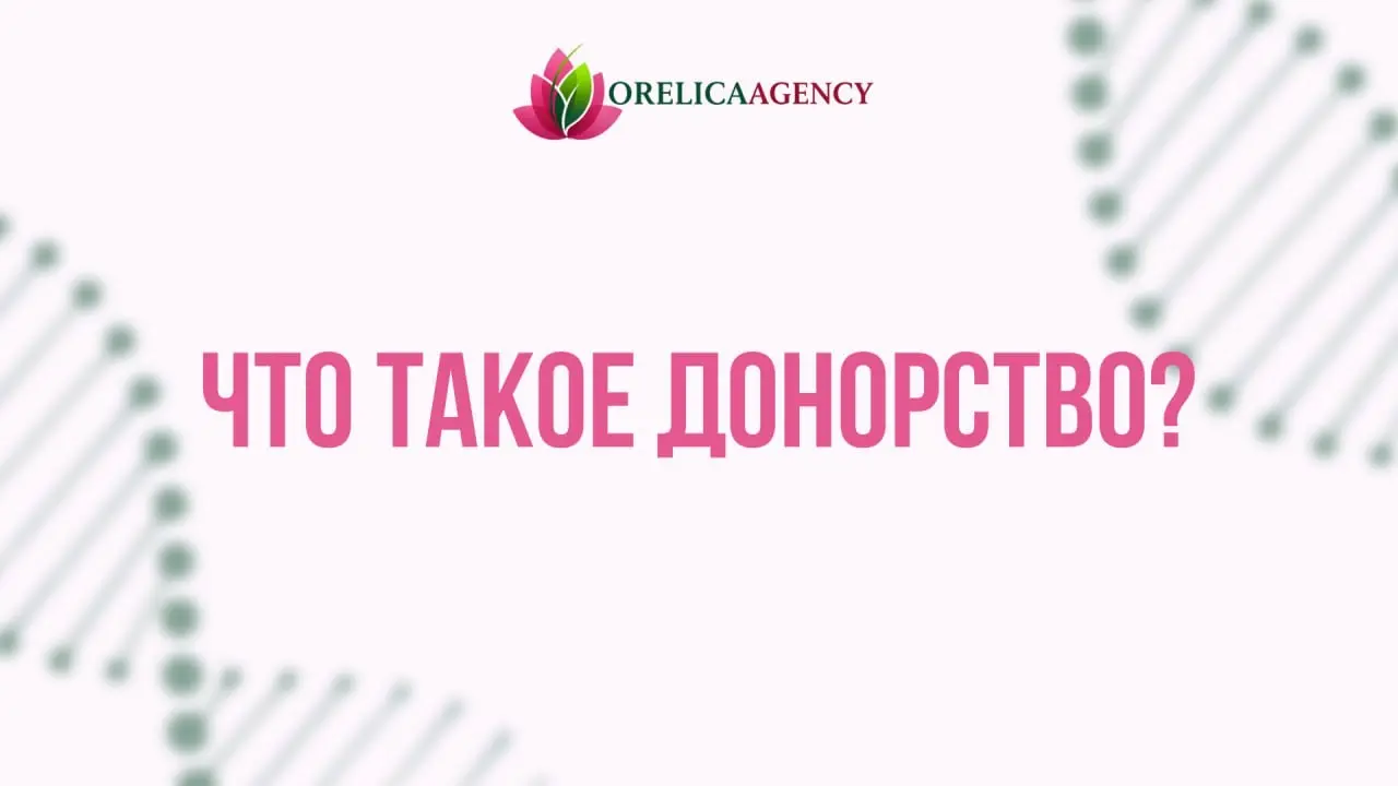 Что такое донорство — и почему это больше, чем просто медици | Сетка — социальная сеть от hh.ru