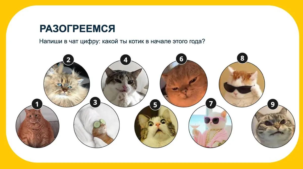​​Давайте разогреемся 🐾 | Сетка — социальная сеть от hh.ru