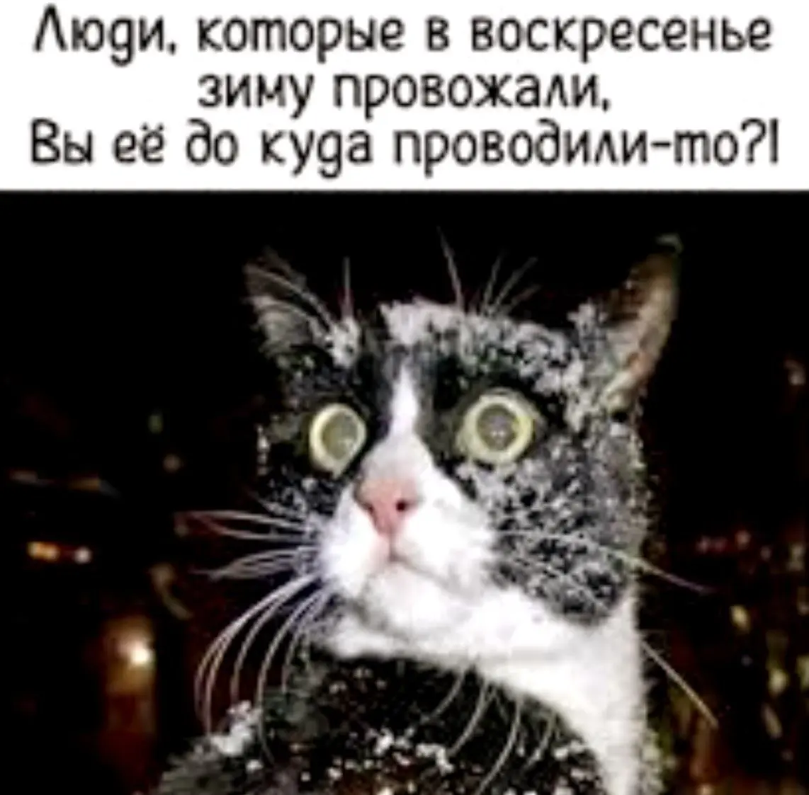 За окном -30, а по календарю завтра — 1 марта! 😅❄️
Ну как тут не вспомнить классику? Этот мем просто обязан был появиться сегодня. Весна пришла… ну, чисто технически | Сетка — социальная сеть от hh.ru