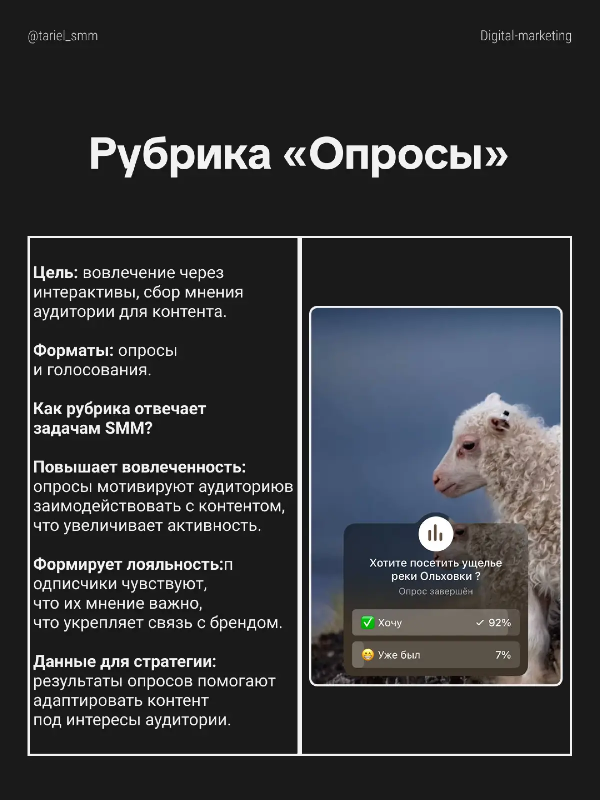 Кейс: Рост трафика
с VK на сайт на 217% | Сетка — социальная сеть от hh.ru