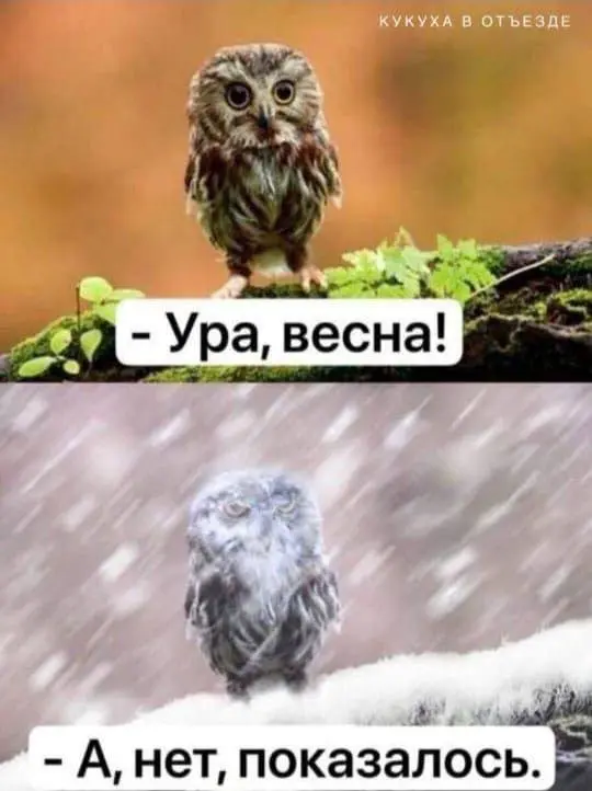Ну что, завтра весна ☀️
Готовы?😂
p.s кидайте мемчики, будем топить снег шутеечками | Сетка — социальная сеть от hh.ru