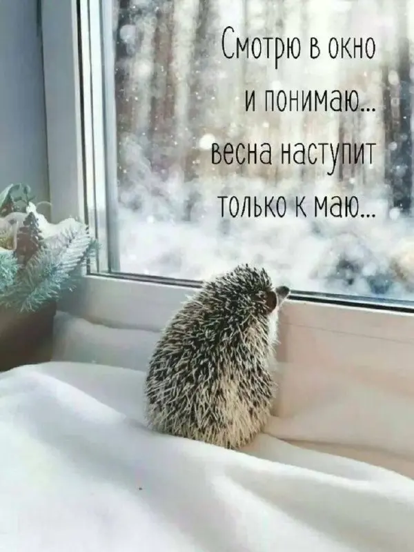 Ну что, завтра весна ☀️
Готовы?😂
p.s кидайте мемчики, будем топить снег шутеечками | Сетка — социальная сеть от hh.ru