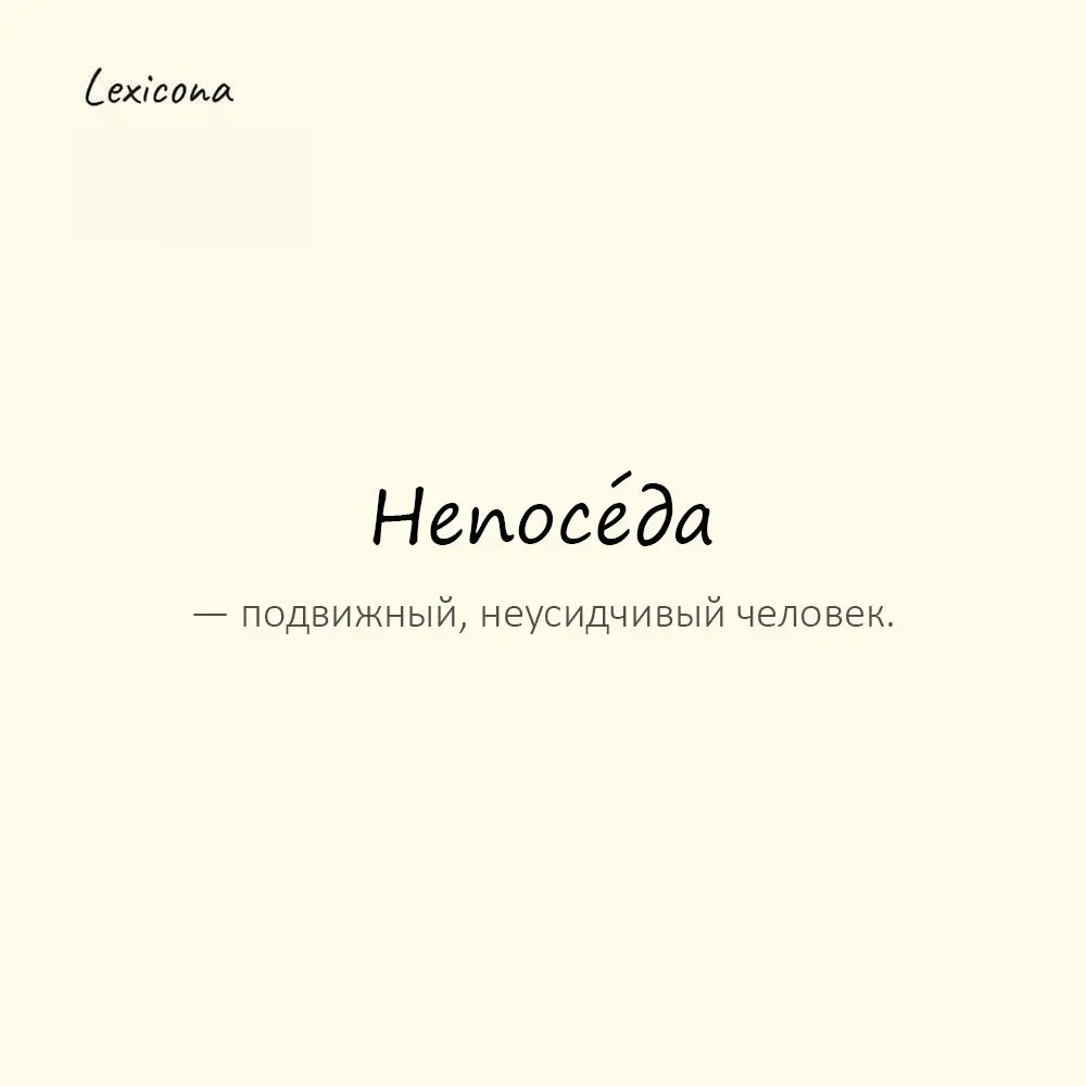 Непосе́да — подвижный, неусидчивый человек.
Пример употребления:
Ребёнок вырос настоящим непоседой. | Сетка — социальная сеть от hh.ru