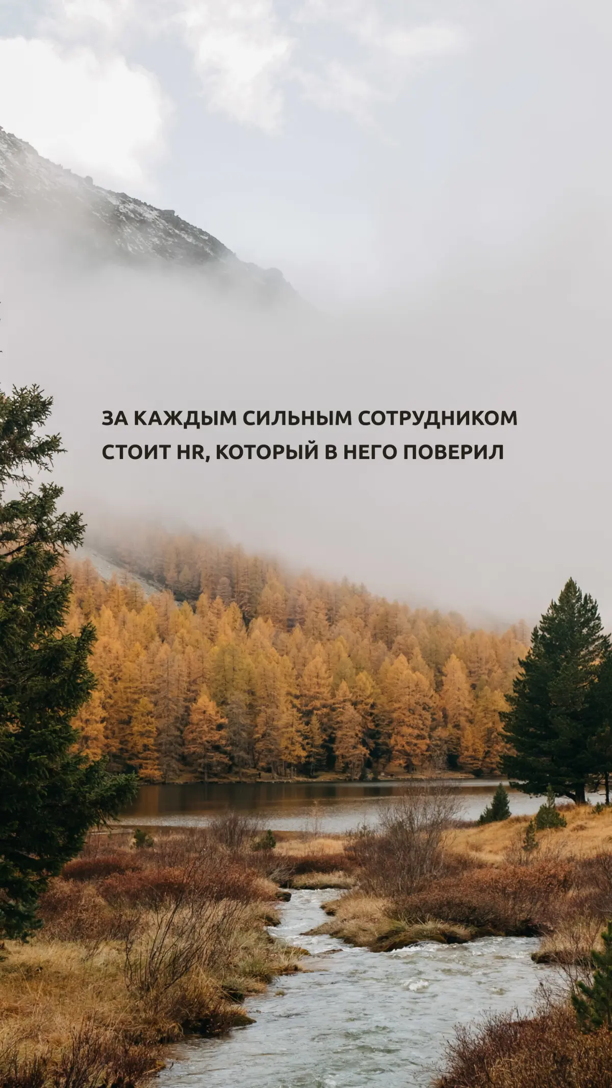 ❤️ Пост для тех, кто устал | Сетка — социальная сеть от hh.ru