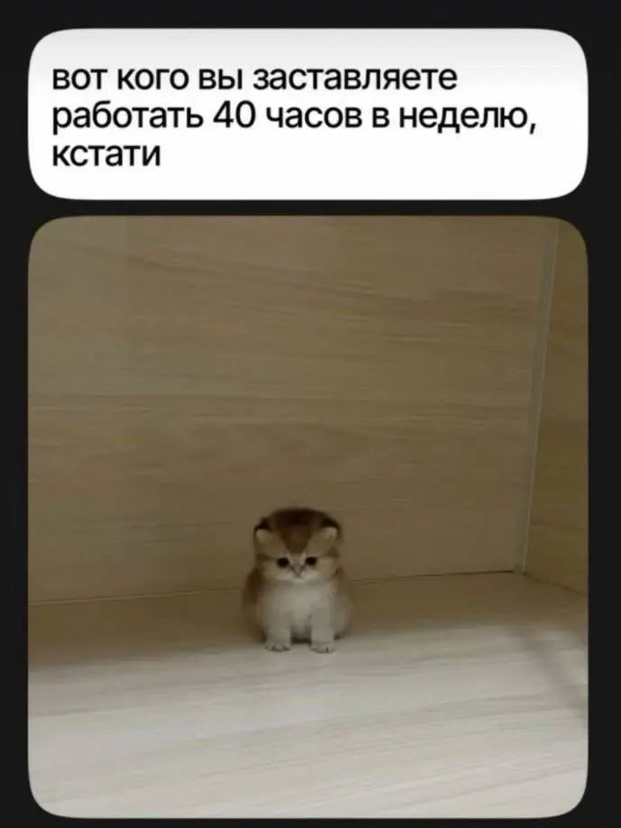 А сколько часов в неделю работаете вы? | Сетка — социальная сеть от hh.ru