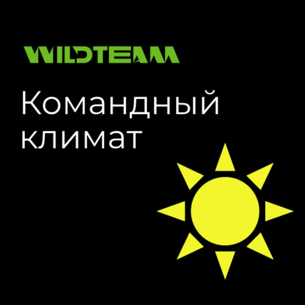 Командный климат | Сетка — социальная сеть от hh.ru
