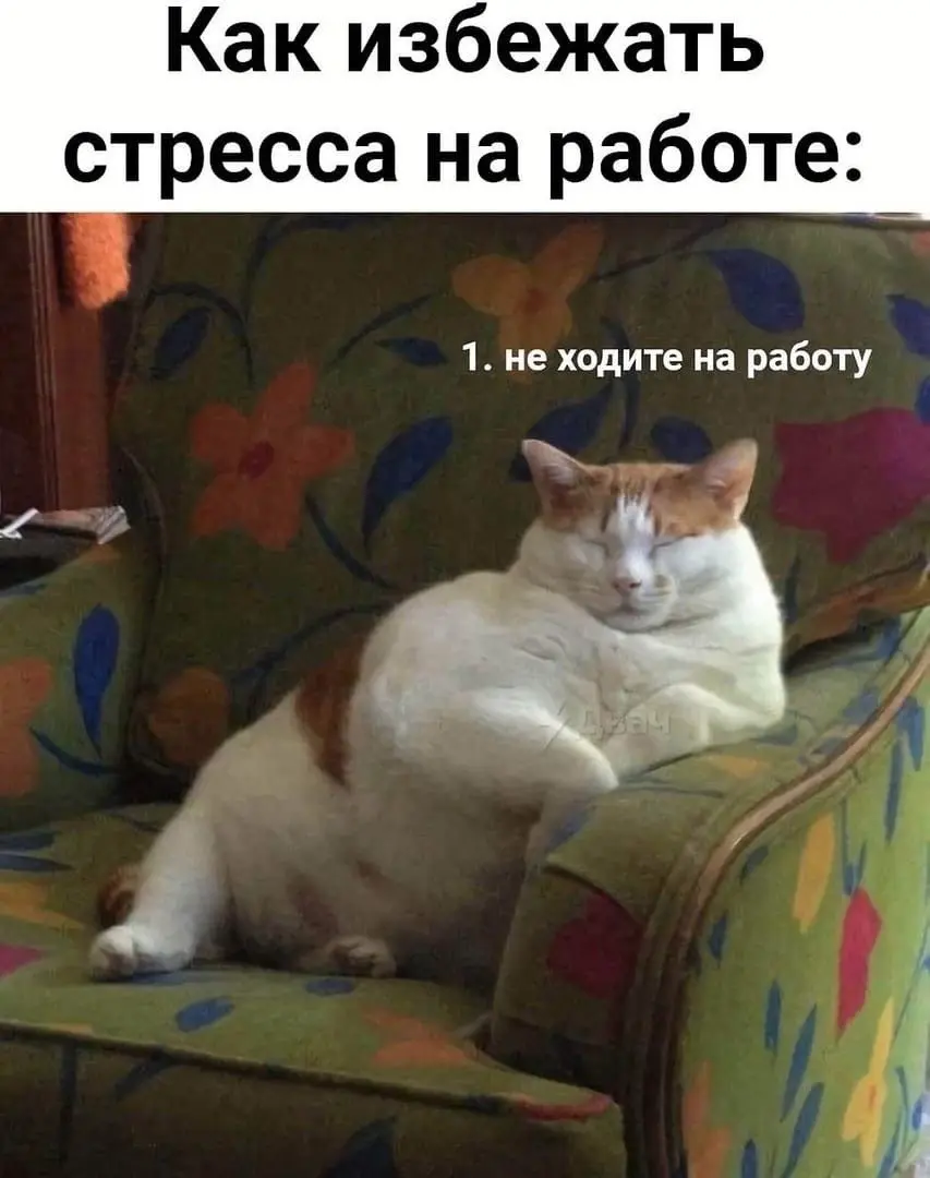Обещали стартап с пинг-понгом печеньками. | Сетка — социальная сеть от hh.ru