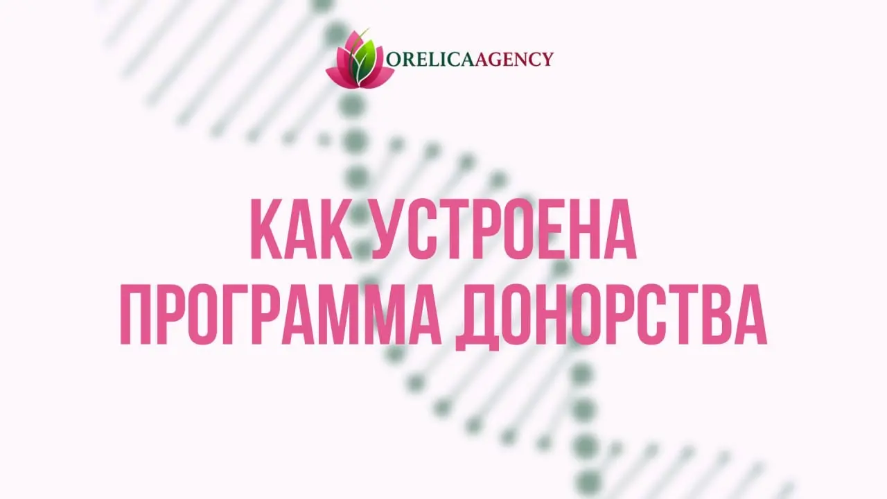 Как устроена программа донорства и почему это безопасно | Сетка — социальная сеть от hh.ru