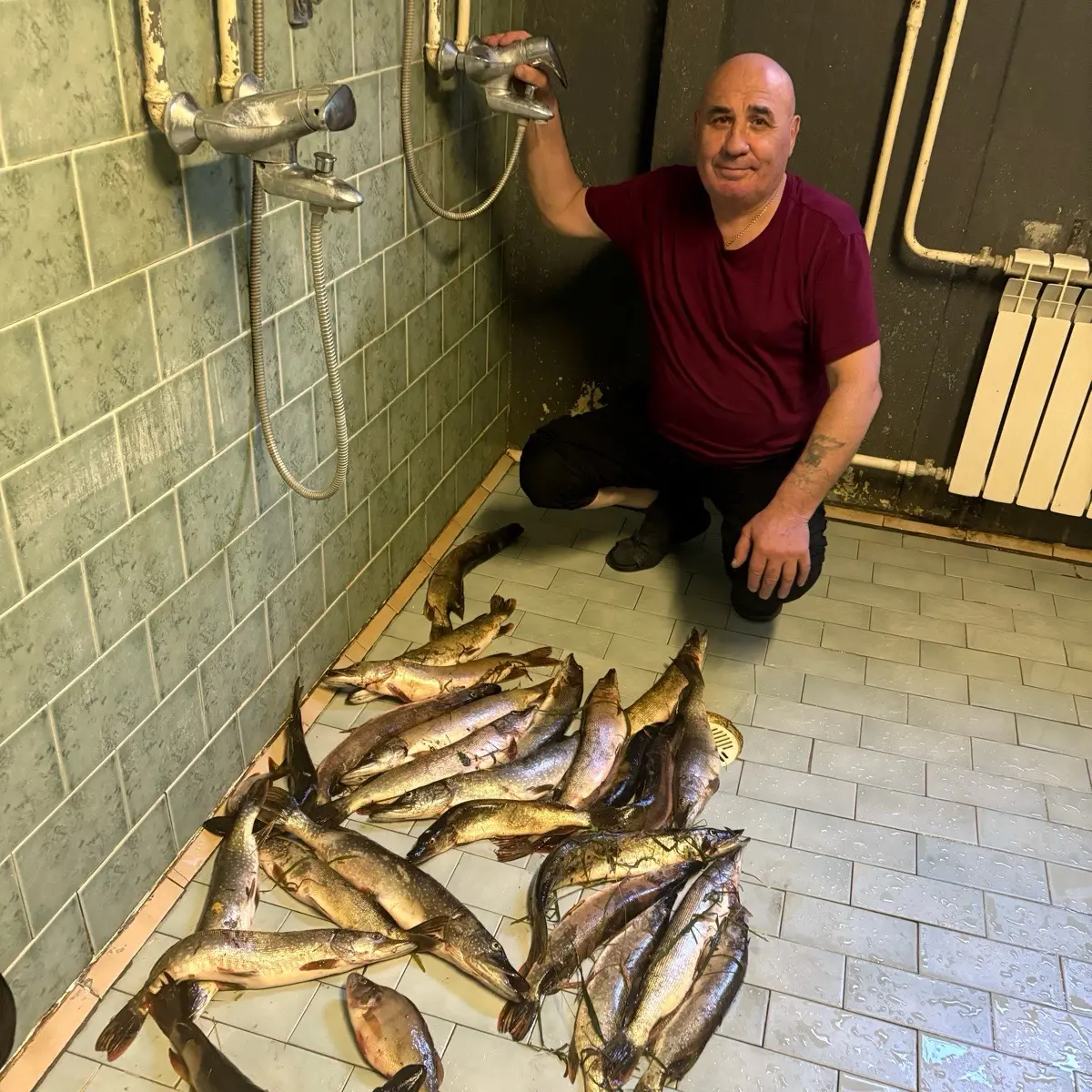 Анатолий Баловнев | Сетка — социальная сеть от hh.ru