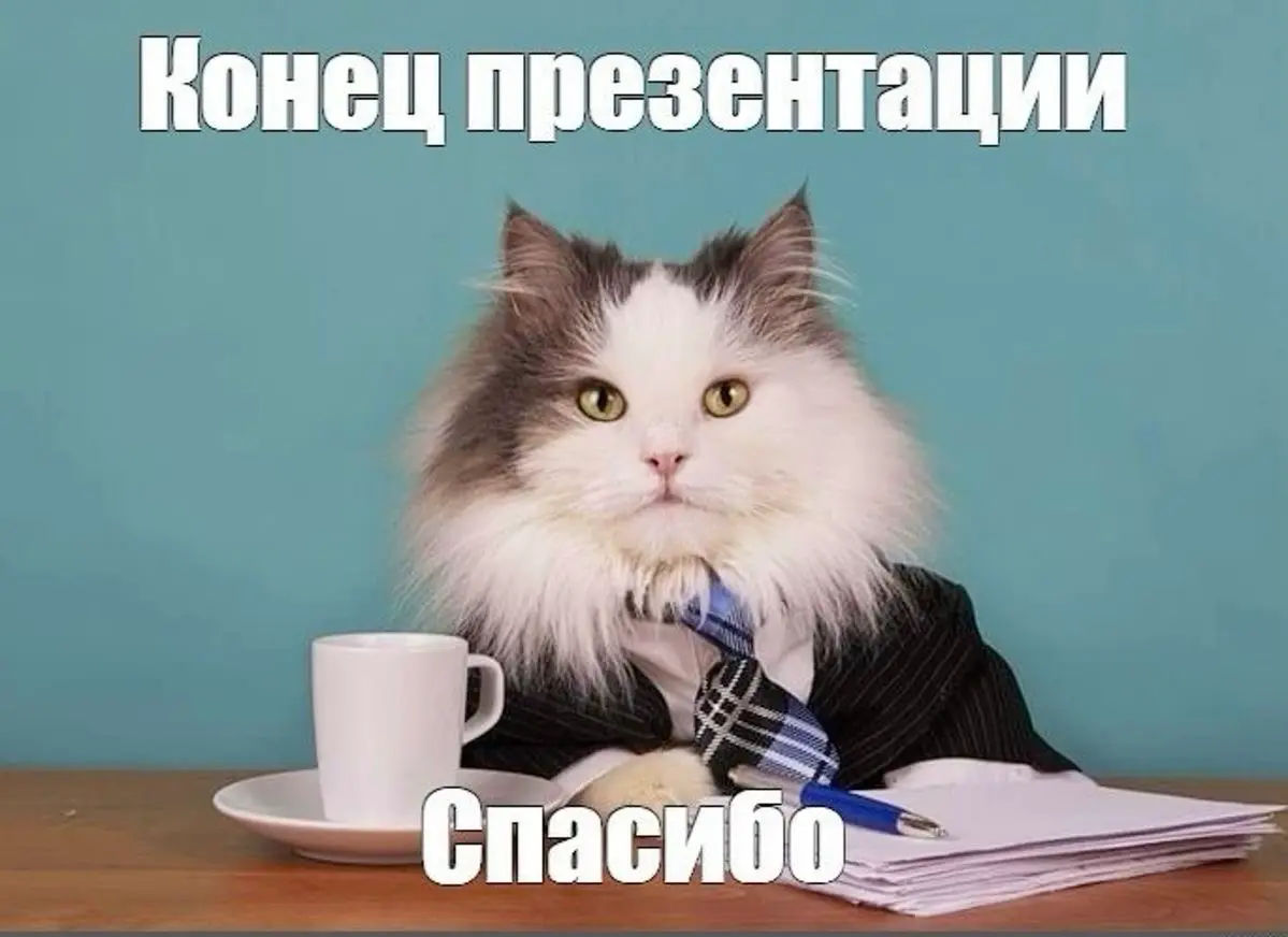 Как быть успешным в сфере? | Сетка — социальная сеть от hh.ru