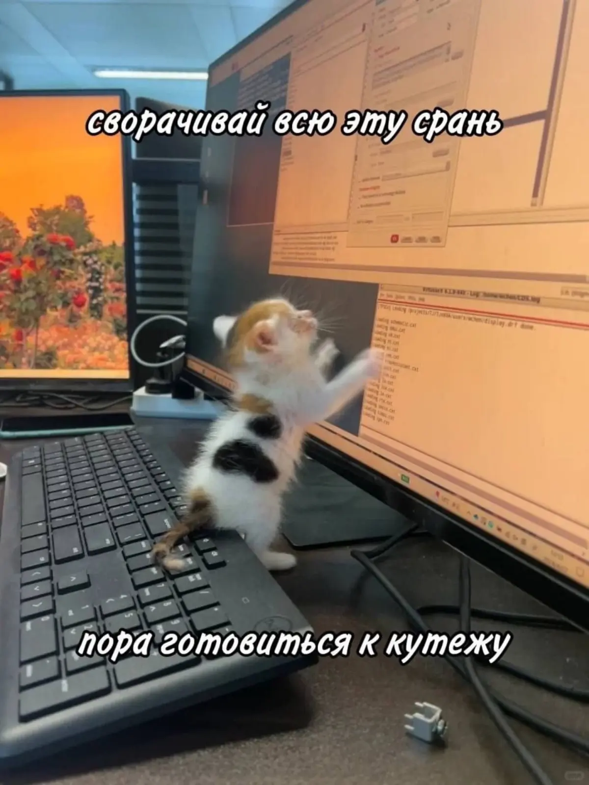 Уже прошло две недели с момента моего увольнения, но я всё ещё безработная. Вроде и грустно, но ничего, я обязательно справлюсь. | Сетка — социальная сеть от hh.ru
