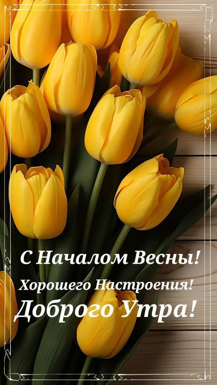 Сетка — социальная сеть от hh.ru