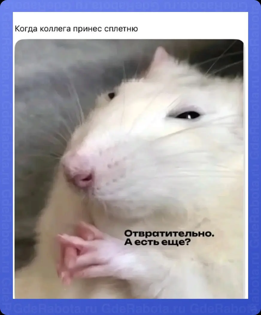 Лучший способ не работать — обсудить тех, кто работает 😎
П.с. C первым днём весны 🌷
#работа #GdeRabota #hr #вакансии | Сетка — социальная сеть от hh.ru