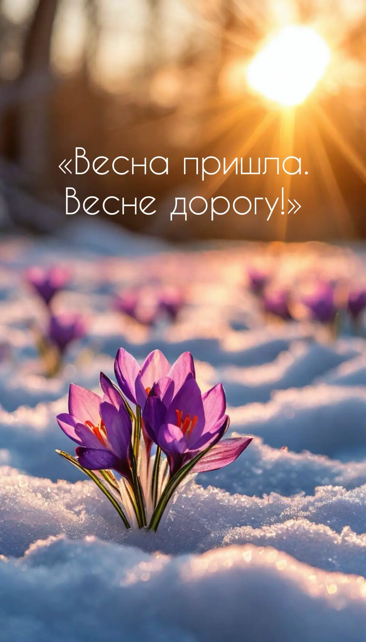 Весенние аффирмации для красивых продаж | Сетка — социальная сеть от hh.ru