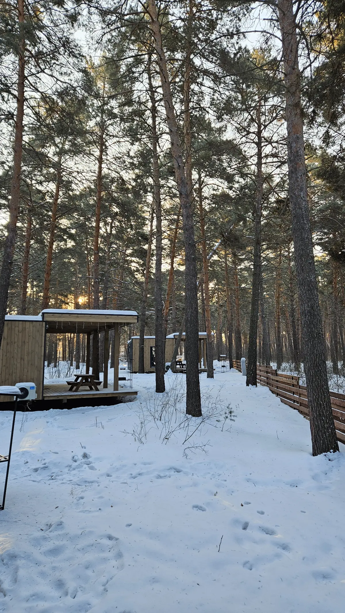 🌲Сибирская зима в первый день весны | Сетка — социальная сеть от hh.ru
